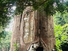 -青青世界
