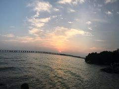 -宝安西湾红树林湿地公园