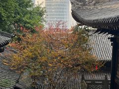 -关岳庙