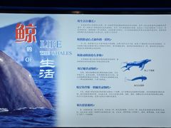 -上海海洋大学鱼文化博物馆(军工路校区)