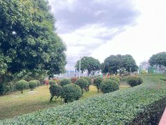 -立新湖公园