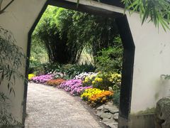 -汇龙潭