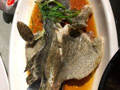 清蒸老虎斑-达叔香味海鲜(海棠68环球美食街店)
