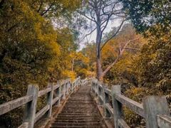 -飞霞风景名胜区