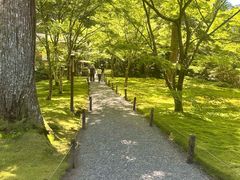 -三千院