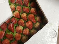 -水果天空(东葛店)