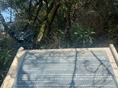-莆田湄洲妈祖祖庙