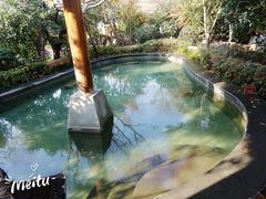 -苏州湾王焰温泉度假酒店