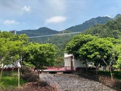 -南丹山森林王国