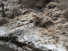 -泸沽湖里格半岛