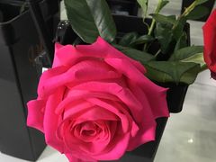 -Butchart布查德鲜花(花艺设计中心)