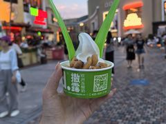 -Salud撒露欧洲冻酸奶(蓝色港湾店)
