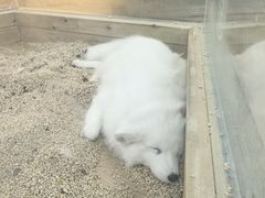 -中集金地美兰城