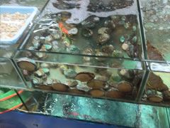 -年辉渔村·非遗传承餐厅(新丰江店)