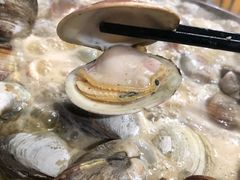 -顺德哥卜卜贝(旗舰店)