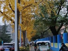 -四川大学(望江校区)