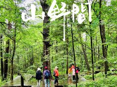 -五营红松林海景区