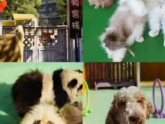 -上海佘山世茂艾美酒店