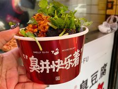 黑色经典臭豆腐-黑色经典臭豆腐·湖南特产(坡子街店)