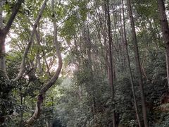 -杭州林泉山庄
