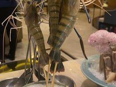 -阿杜打边炉(五江天街店)