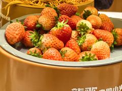 -龍歌自助小火锅(市南金茂湾店)