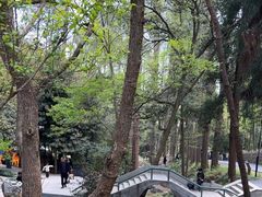 -东明山森林公园