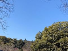 -无锡梅园公园