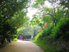 -石老人观光园