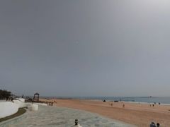 -渡海小渔村.老辈日照菜