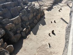 -太原动物园