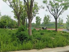 -东郊湿地公园