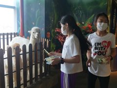 -昆明大悦城未来动物城(螺蛳湾中心店)