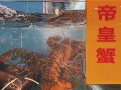 -蛇口市场