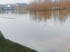 -白鹭湾湿地公园