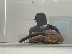 -comecome来吧宠物(奥克斯中心店)