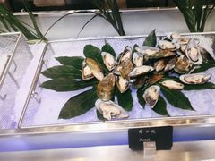 -冀粤香海鲜自助餐厅(西美五洲店)