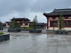 -洛阳古墓博物馆