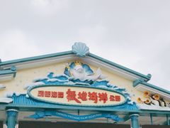 -海合安成都极地海洋公园