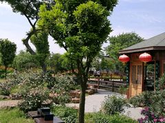 -鹅湖玫瑰文化园