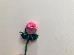 -奈雪的茶(中粮祥云小镇店)