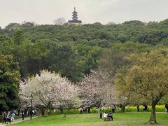 -苏州上方山国家森林公园