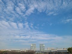 -尚贤河湿地