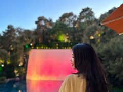 -拉斯维加斯永利酒店