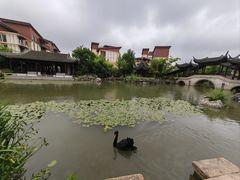 -阳澄湖半岛旅游度假区