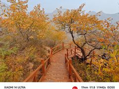 -大岭沟猕猴桃谷风景区