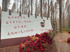 -黄海国家森林公园