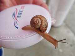 -烟台东联一汽丰田4S店(福山区店)