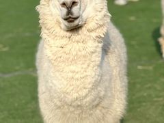 -杭州野生动物世界