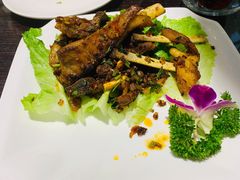 -Mevlana梅夫娜土耳其餐厅·清真